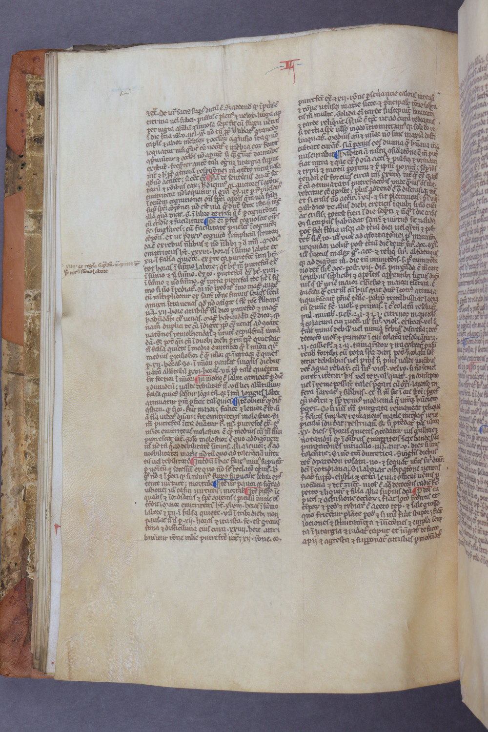Folio 24 verso